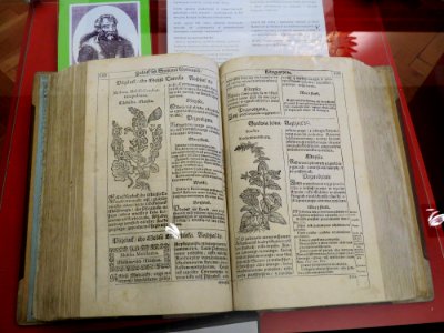 Muzeum farmacji w Łodzi 07