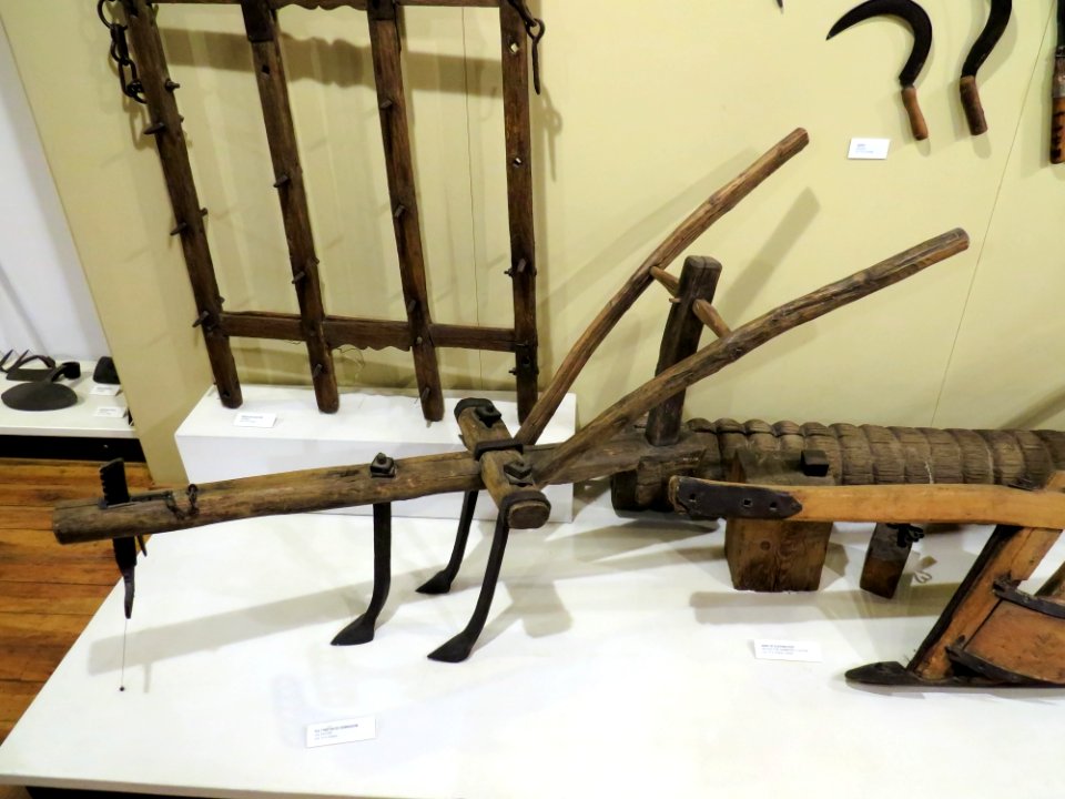 Muzeum Etnografii Gdańsk 009