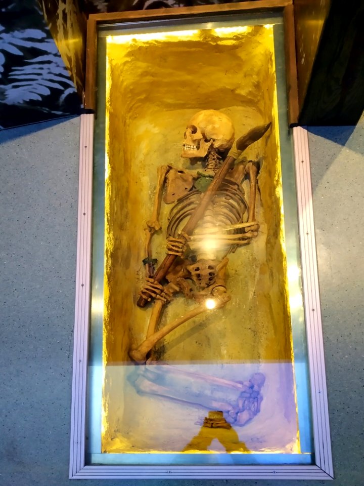 Muzeum Archeologiczne i Etnograficzne w Łodzi 09