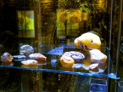 Muzeum Bursztynu Gdańsk 02