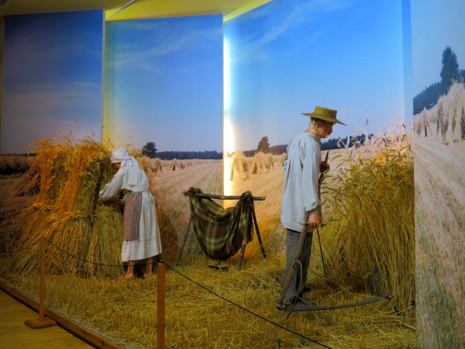 Muzeum Archeologiczne i Etnograficzne w Łodzi 24