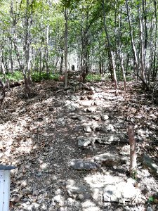 Mt. Mii 20210318 09