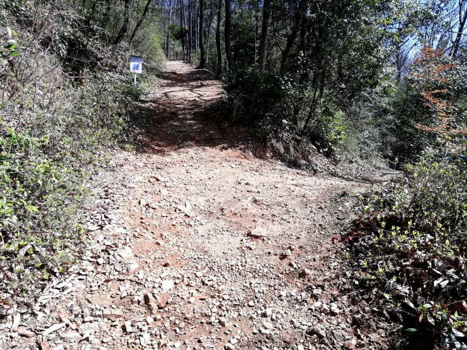 Mt. Mii 20210318 06