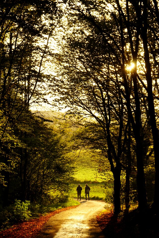 Human walkers road