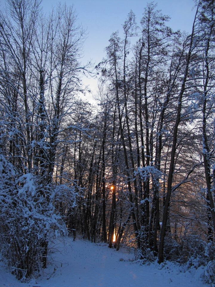 Free picture river sun