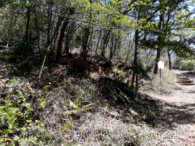 Mt. Mii 20210318 11