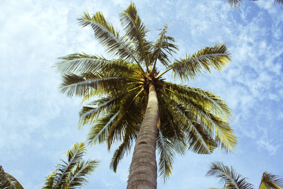 Clouds sunshine summer