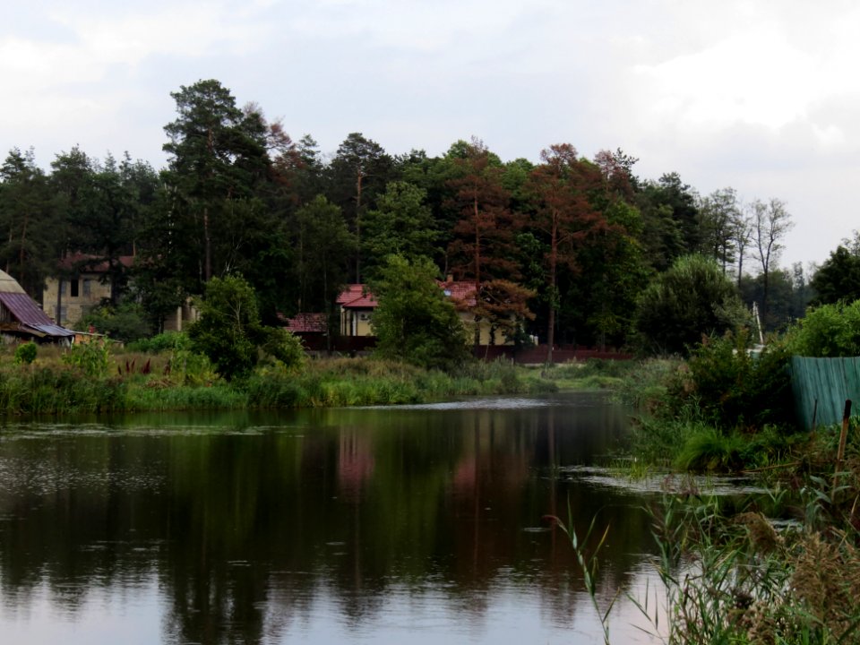 Moshchun2