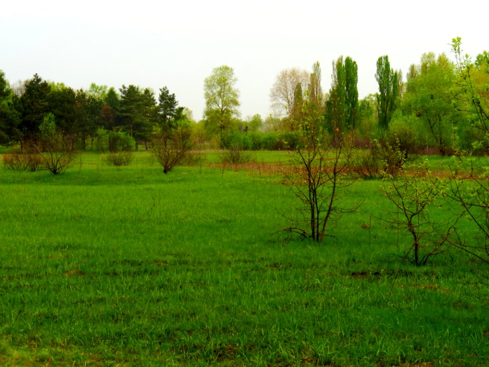 Muromets Park Kyiv 9