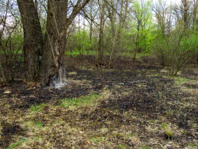 Muromets Park Kyiv fire traces