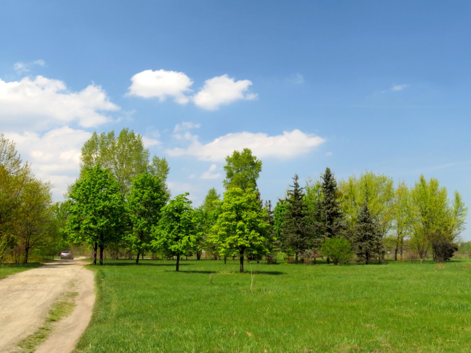 Muromets Park Kyiv 8