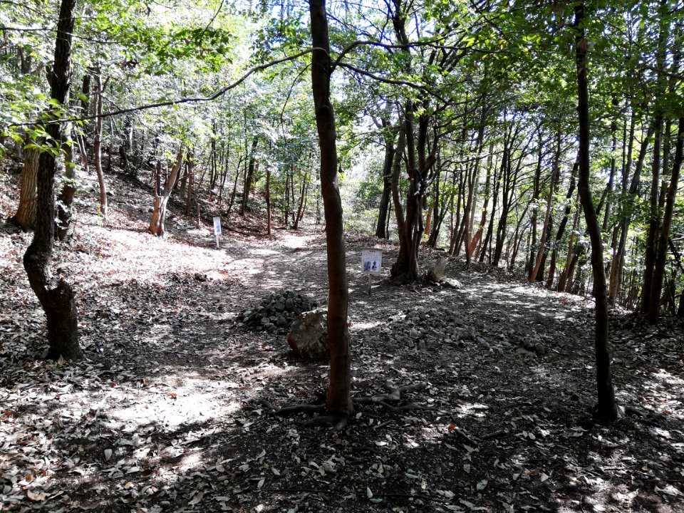Mt. Mii 20210318 07