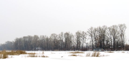 Muromets Winter8