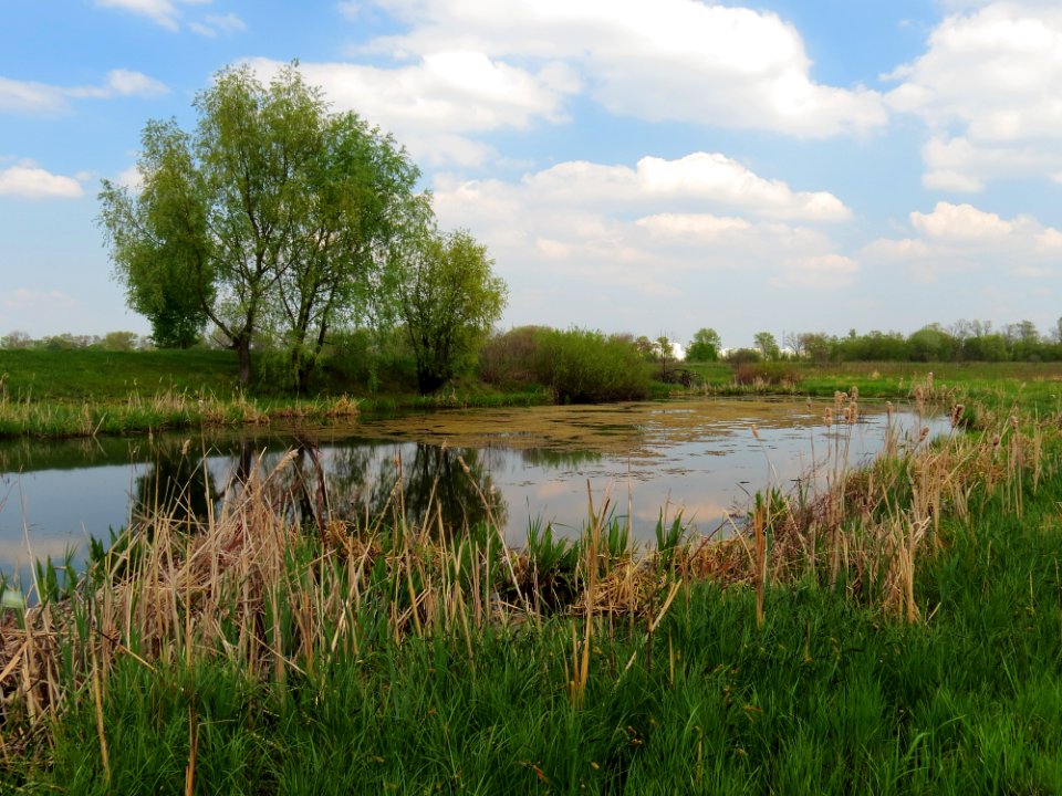 Muromets lake N Bobr1