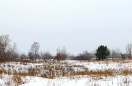 Muromets Winter2