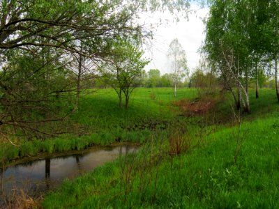 Muromets near Kilnyshche1