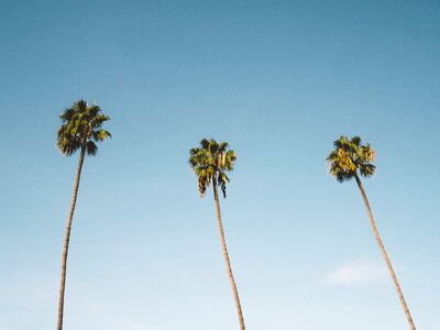 Summer vacation travel
