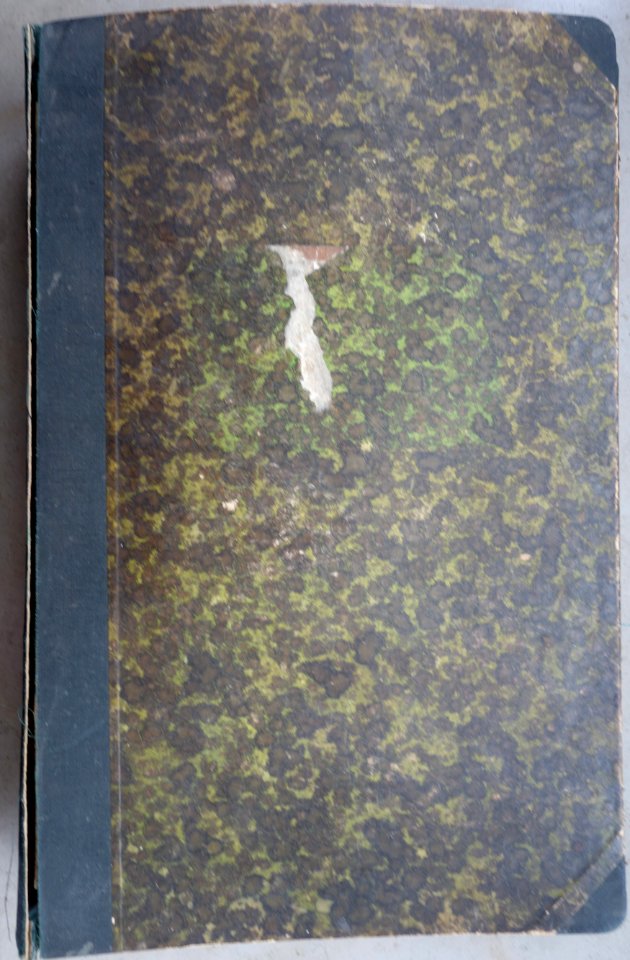 Muster- und Rezeptbuch für Leder-Velours-Farben (01)