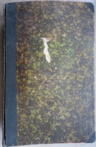 Muster- und Rezeptbuch für Leder-Velours-Farben (01)