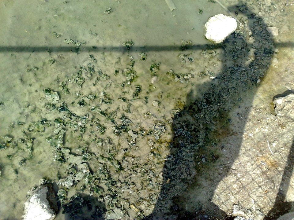 Mugre al fondo de un agua estancada