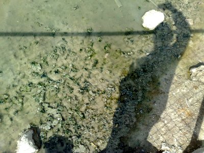 Mugre al fondo de un agua estancada photo
