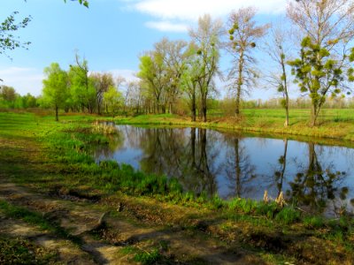 Muromets island lake1