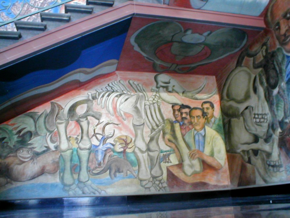 Mural con diversos huesos