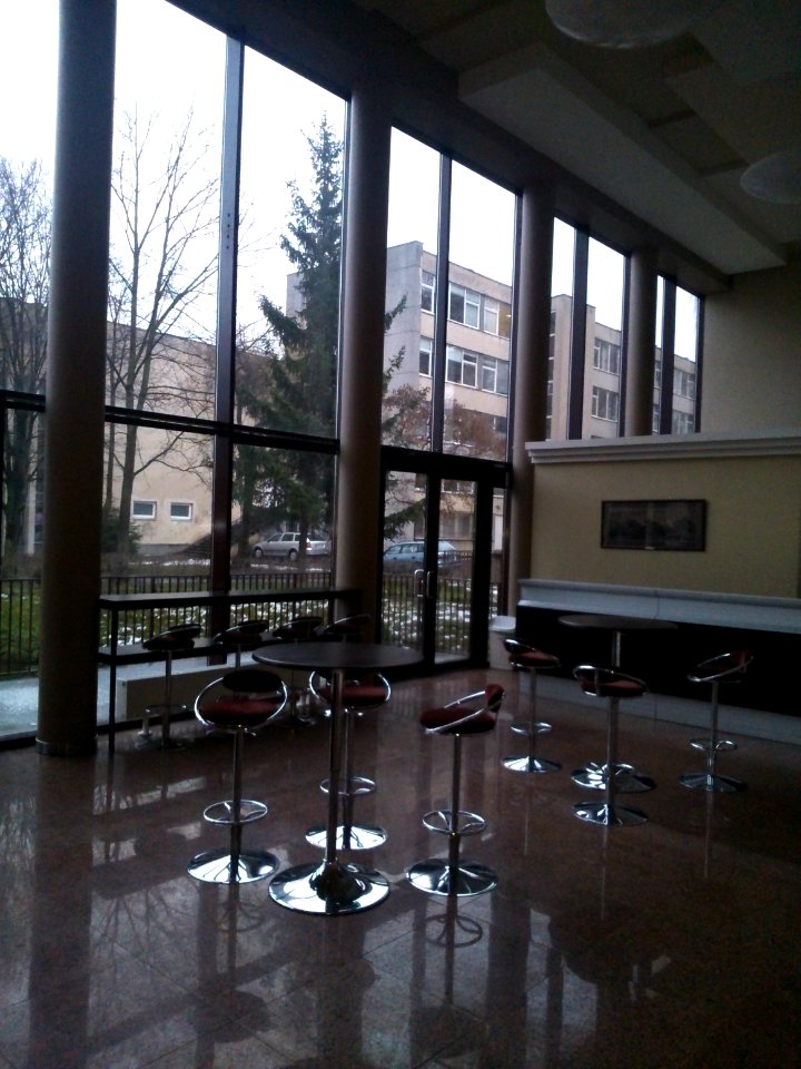 National M. K. Čiurlionis School of Art, 2014 šokio t