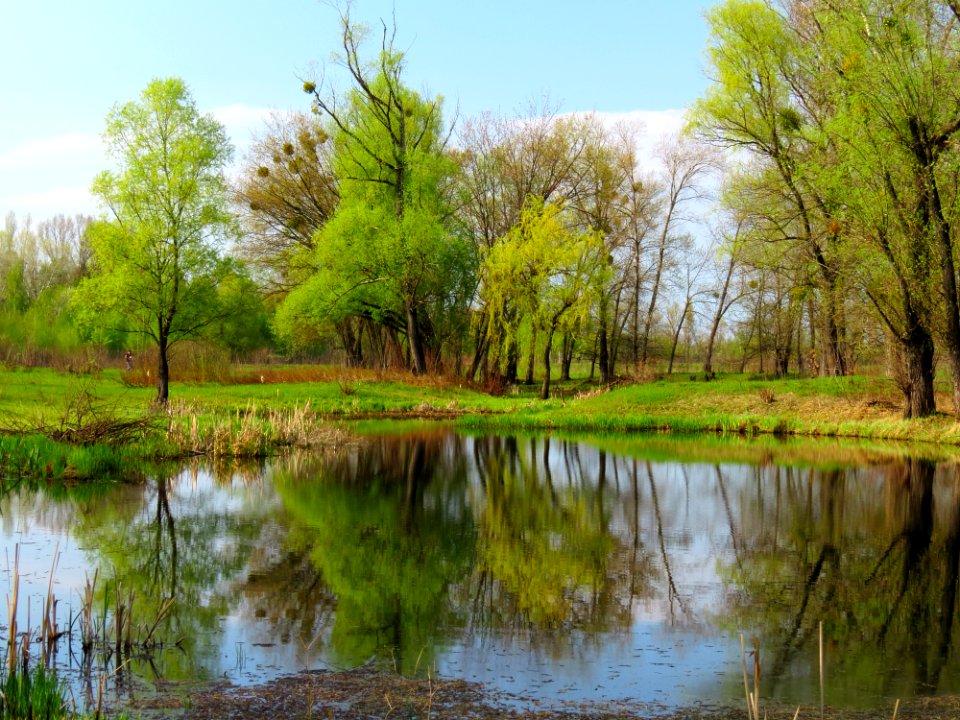 Muromets island lake3