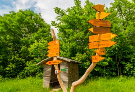Nationalpark Hainich Wegweiser 18