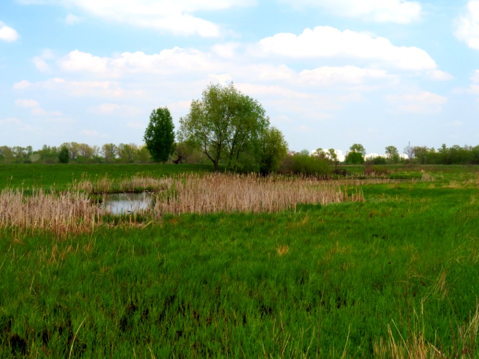 Muromets lake N Bobr2