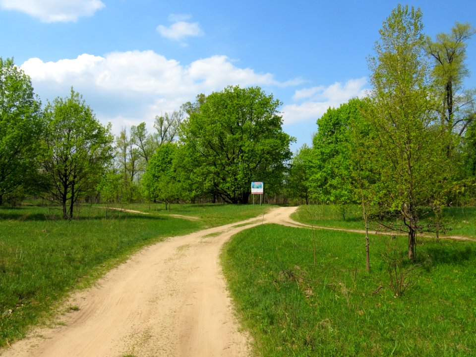 Muromets Route of health1