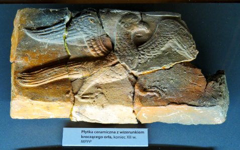 Muzeum Archeologiczne w Poznaniu 06