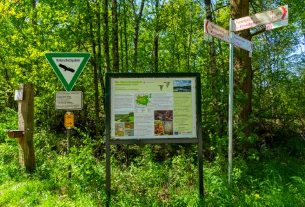Naturschutzgebiet Emsdettener Venn 30