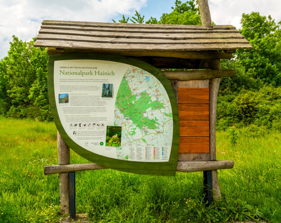 Nationalpark Hainich Informationstafel 10