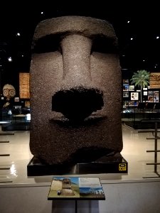 National Museum of Ethnology 20201109 08