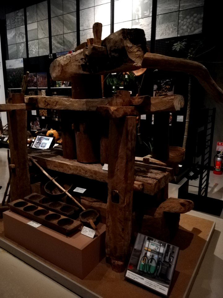 National Museum of Ethnology 20201109 21