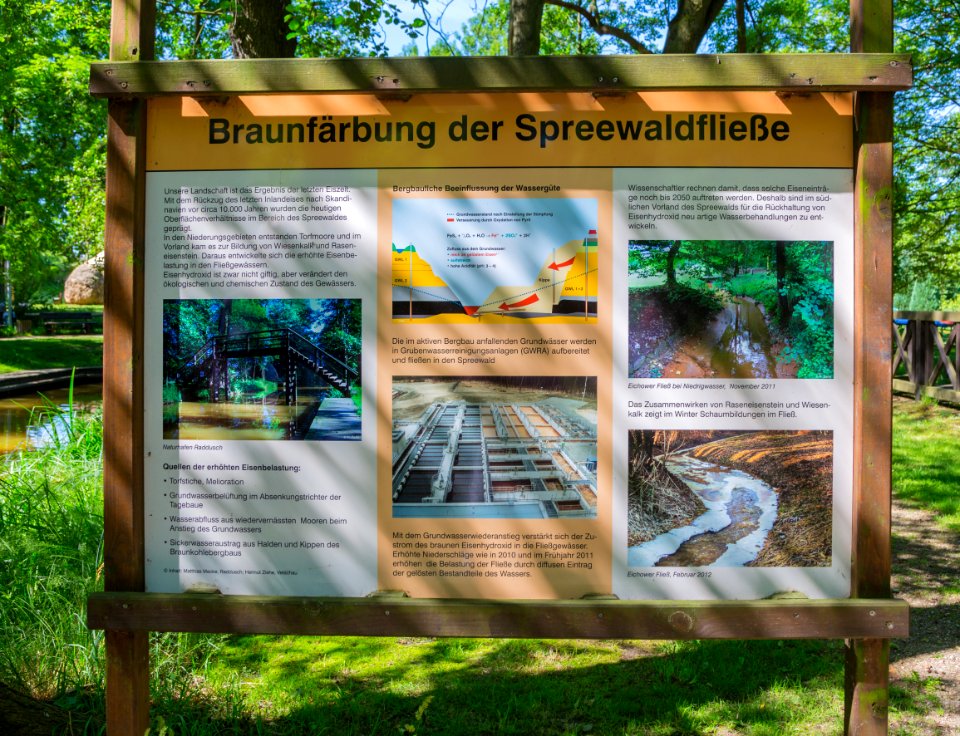 Naturhafen Raddusch 06