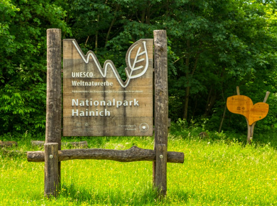 Nationalpark Hainich 14