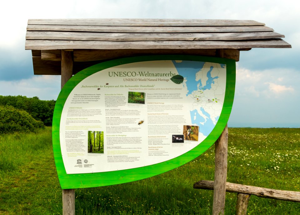Nationalpark Hainich Informationstafel 11