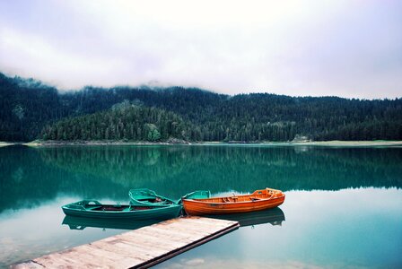 Boat forest fog photo
