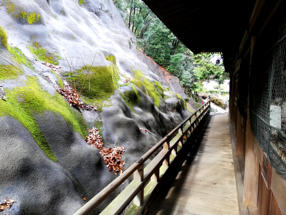 Naritasan Teishō-ji Temple 20210215 20