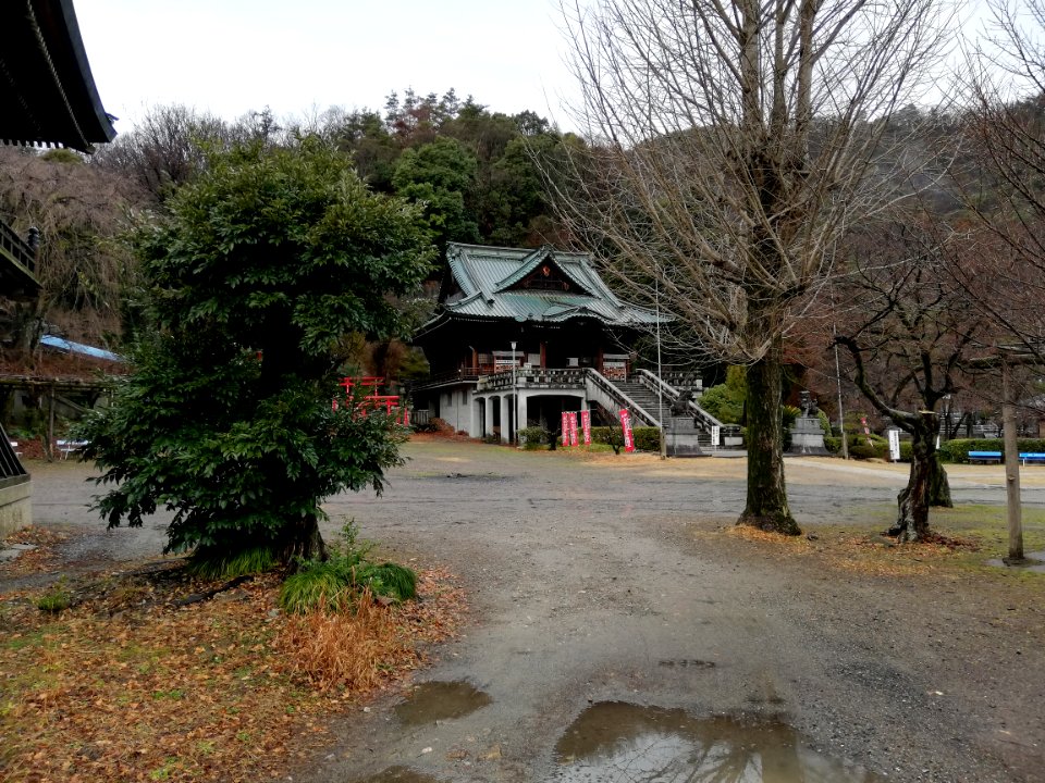 Naritasan Teishō-ji Temple 20210215 01
