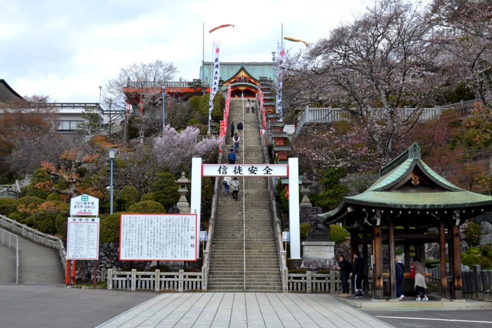 Naritasan Daishō-ji Temple 20210326 08
