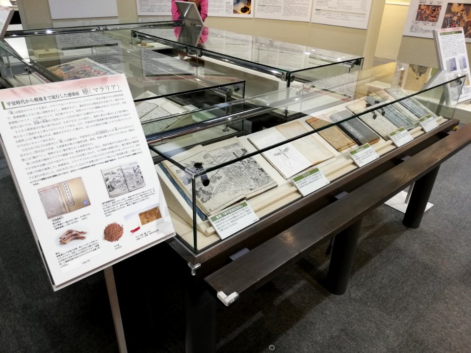 Naitō Museum of Pharmaceutical Science and Industry 20210529 28