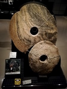 National Museum of Ethnology 20201109 11
