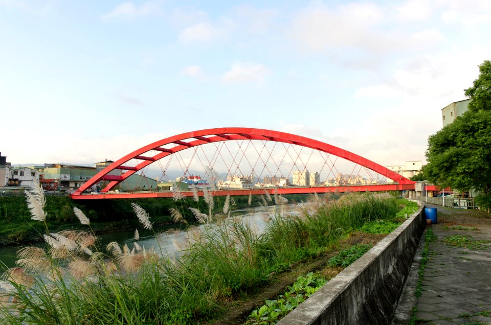 Nanyang Bridge View from South 20141120b