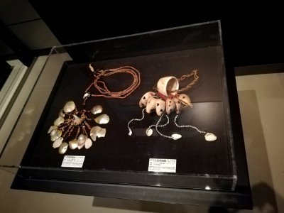 National Museum of Ethnology 20201109 09