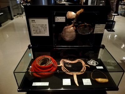 National Museum of Ethnology 20201109 14