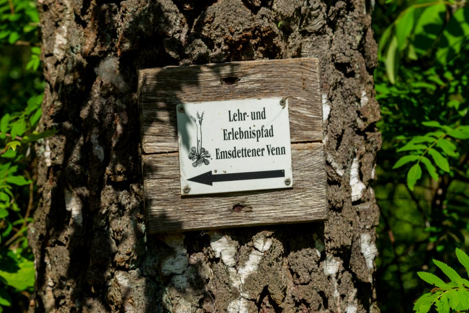 Naturschutzgebiet Emsdettener Venn Lehr und Erlebnispfad 01